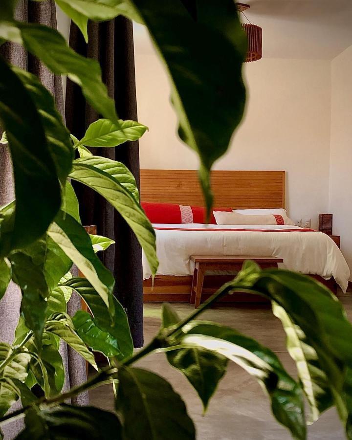 Casa Cafeólogo Hotel San Cristóbal de Las Casas Eksteriør billede
