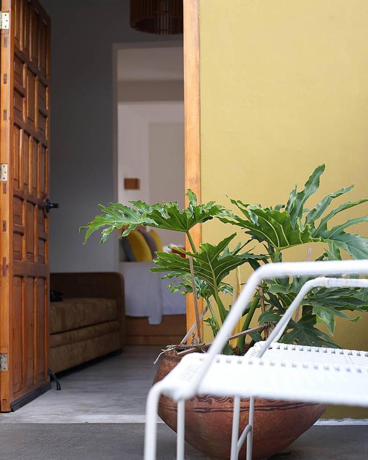 Casa Cafeólogo Hotel San Cristóbal de Las Casas Eksteriør billede